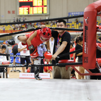 2017年浙江 全国青少年 散打邀请赛 获6金2银1铜