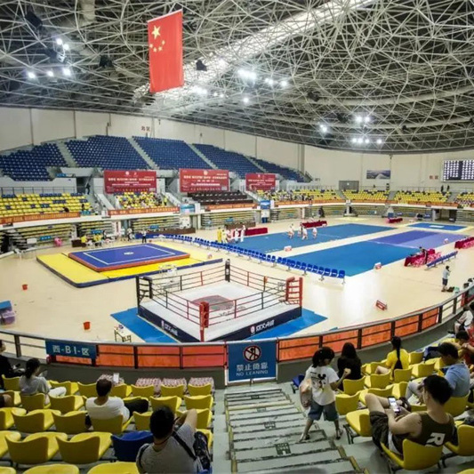 道行武馆参战 2021第五届全国武术·散打精英赛参赛通告